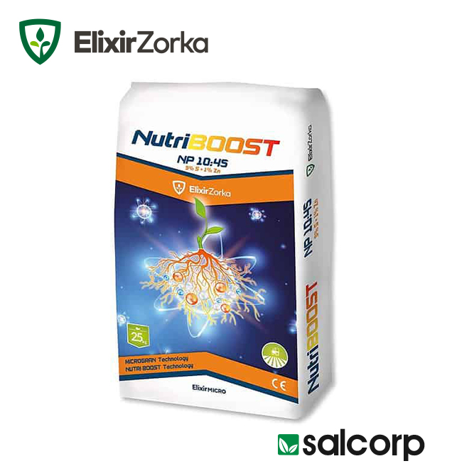 Elixir NutriVeg NPK 10-10-20 - 25/1